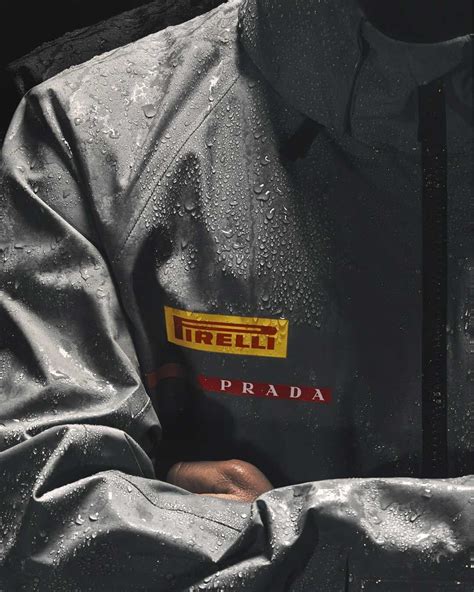 prada woolmark